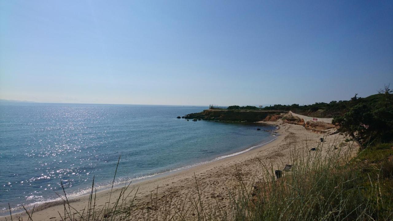 Summerhouse Peggy: Close To Athens Airport By The Sea Artemi Extérieur photo