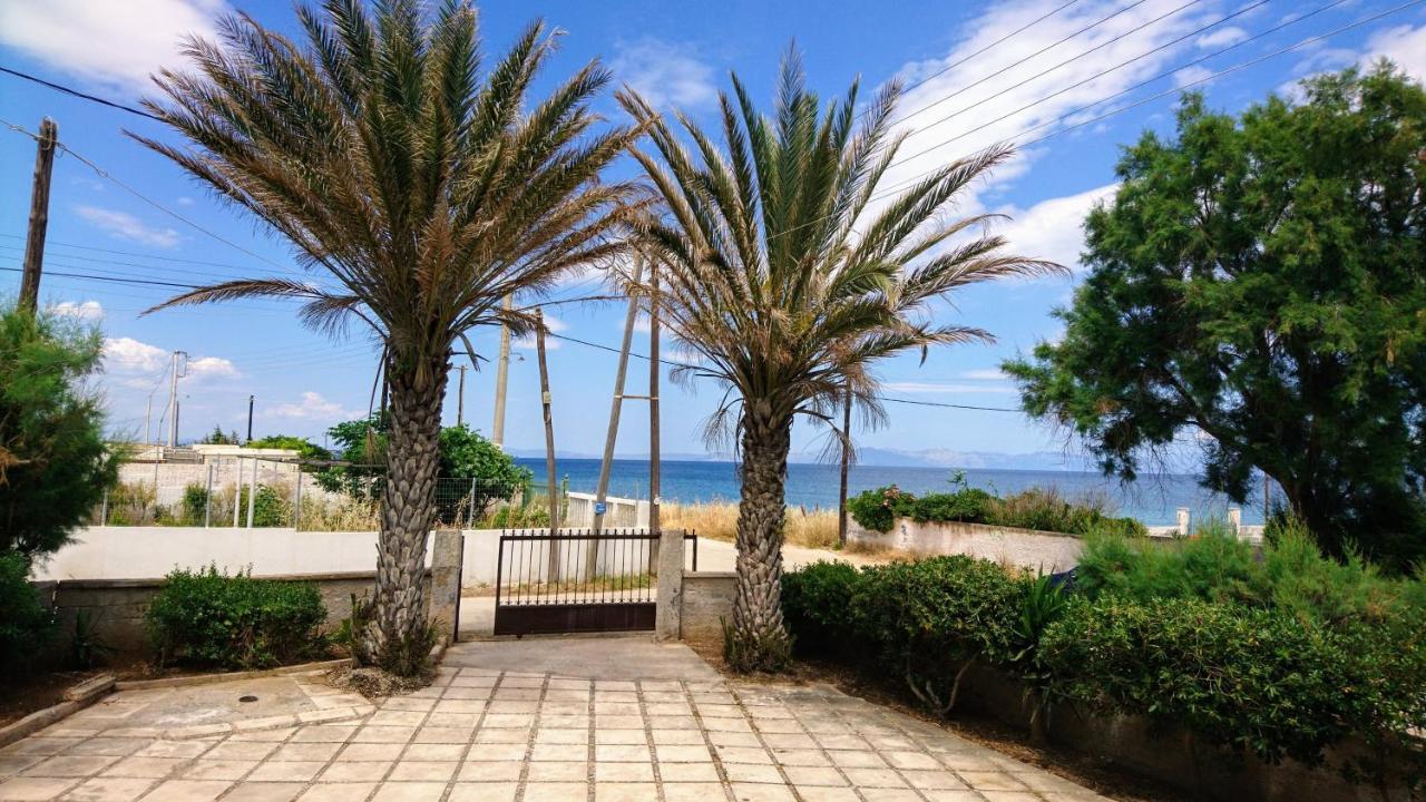 Summerhouse Peggy: Close To Athens Airport By The Sea Artemi Extérieur photo
